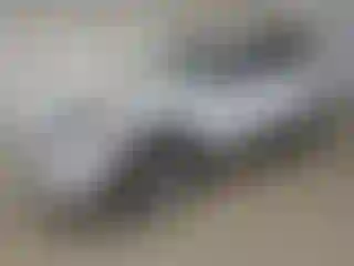 Vehicle Image- 2022 Ford Escape
