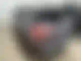 Vehicle Image- 2022 Ford Escape
