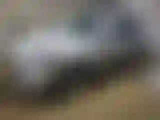 Vehicle Image- 2020 Ford Escape