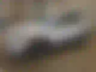Vehicle Image- 2022 Ford Escape