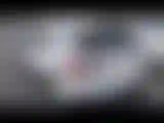Vehicle Image- 2022 Ford Escape