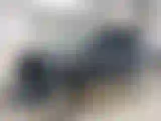 Vehicle Image- 2020 Ford Escape