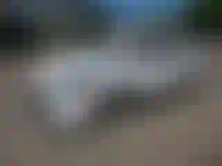 Vehicle Image- 2020 Ford Escape