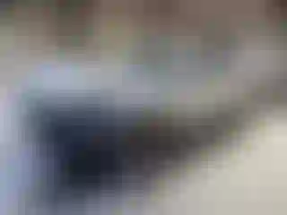 Vehicle Image- 2020 Ford Escape
