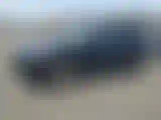 Vehicle Image- 2020 Ford Escape