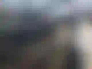 Vehicle Image- 2021 Ford Escape