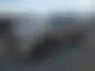 Vehicle Image- 2021 Ford Escape