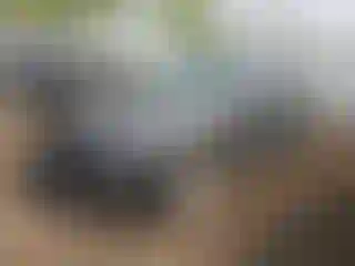 Vehicle Image- 2020 Ford Escape