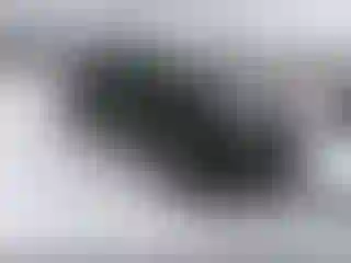Vehicle Image- 2020 Ford Escape