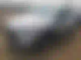 Vehicle Image- 2020 Ford Escape