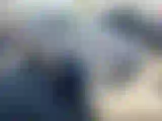 Vehicle Image- 2021 Ford Escape