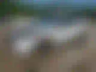 Vehicle Image- 2022 Ford Escape