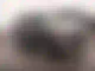 Vehicle Image- 2022 Ford Escape