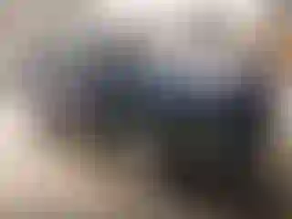 Vehicle Image- 2013 Ford Escape