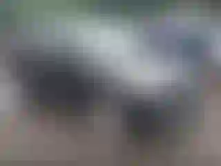 Vehicle Image- 2013 Ford Escape