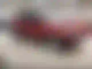 Vehicle Image- 2013 Ford Escape