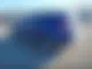 Vehicle Image- 2015 Ford Escape
