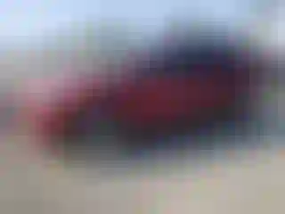Vehicle Image- 2016 Ford Escape