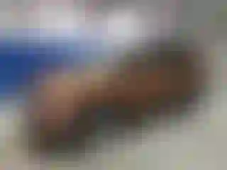 Vehicle Image- 2017 Ford Escape