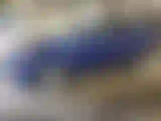 Vehicle Image- 2015 Ford Escape