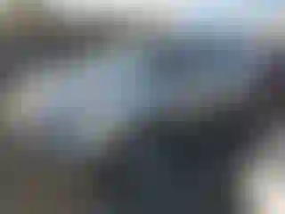 Vehicle Image- 2017 Ford Escape