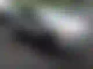 Vehicle Image- 2014 Ford Escape