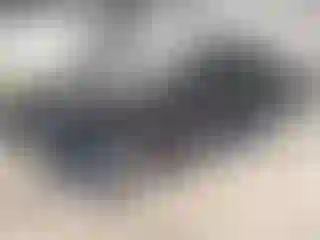 Vehicle Image- 2013 Ford Escape