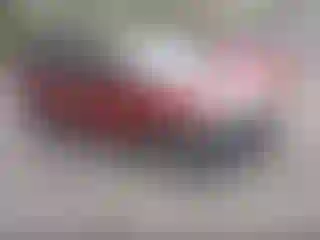 Vehicle Image- 2015 Ford Escape