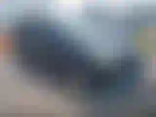 Vehicle Image- 2013 Ford Escape