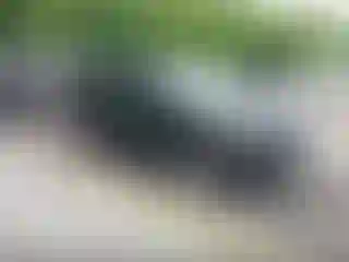 Vehicle Image- 2014 Ford Escape