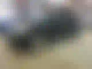 Vehicle Image- 2016 Ford Escape