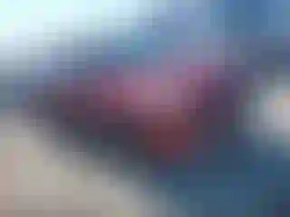 Vehicle Image- 2013 Ford Escape