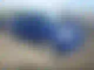 Vehicle Image- 2013 Ford Escape