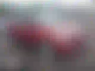 Vehicle Image- 2013 Ford Escape