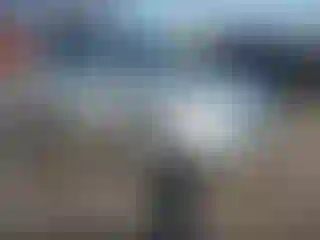 Vehicle Image- 2013 Ford Escape