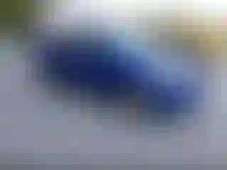 Vehicle Image- 2014 Ford Escape