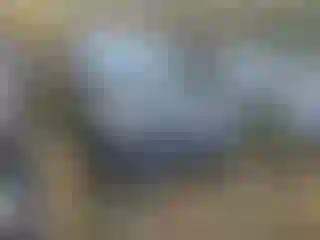 Vehicle Image- 2014 Ford Escape