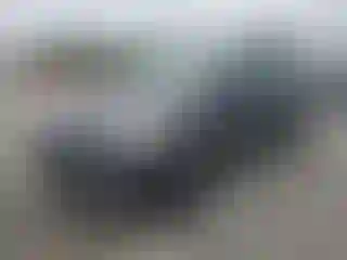 Vehicle Image- 2014 Ford Escape