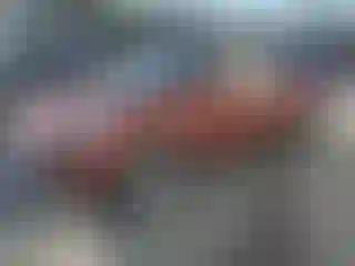 Vehicle Image- 2014 Ford Escape