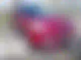 Vehicle Image- 2016 Ford Escape