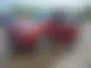 Vehicle Image- 2014 Ford Escape
