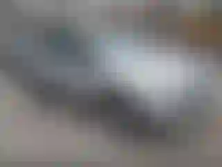 Vehicle Image- 2014 Ford Escape