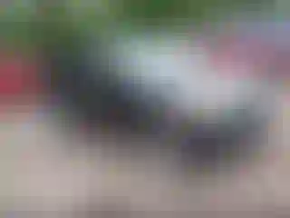 Vehicle Image- 2014 Ford Escape