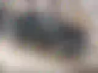 Vehicle Image- 2015 Ford Escape