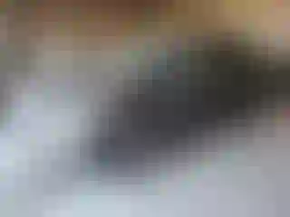 Vehicle Image- 2016 Ford Escape