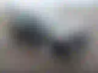 Vehicle Image- 2016 Ford Escape