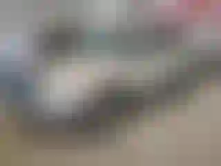 Vehicle Image- 2017 Ford Escape