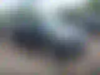 Vehicle Image- 2019 Ford Escape