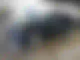 Vehicle Image- 2019 Ford Escape