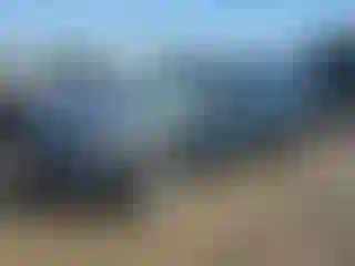 Vehicle Image- 2019 Ford Escape